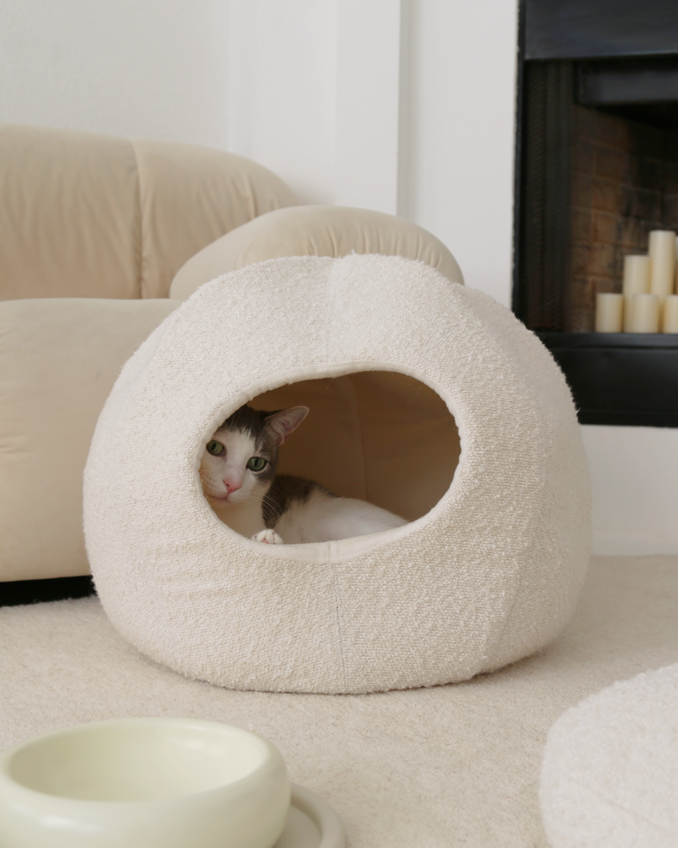 Moon Cat Cave