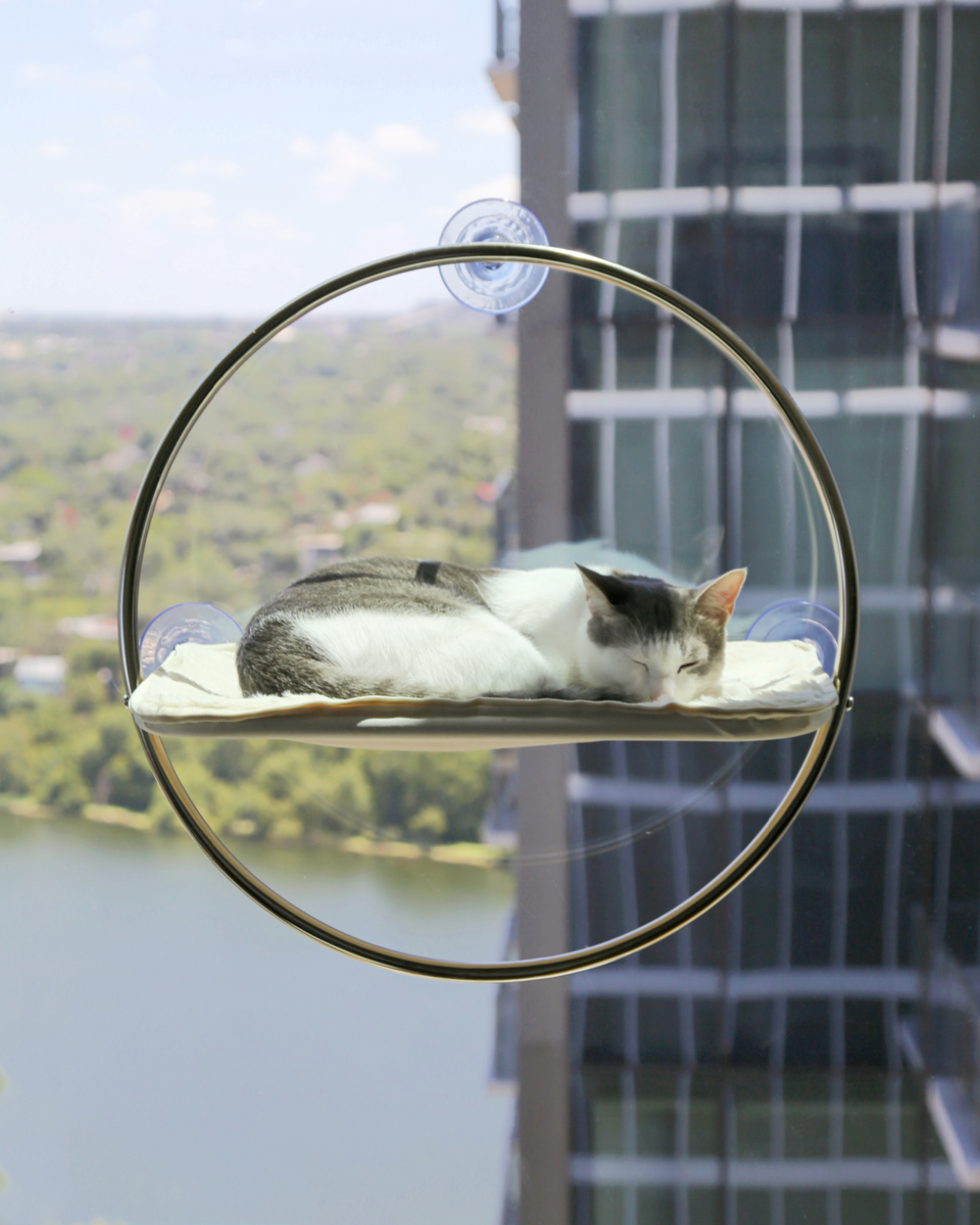 Orbit Cat Window Hammock