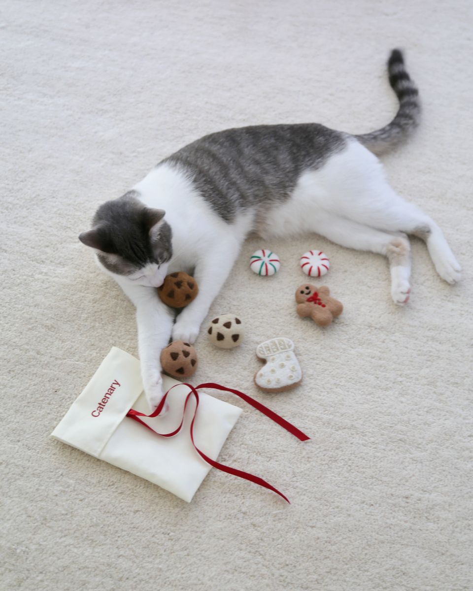 Holiday Cookies